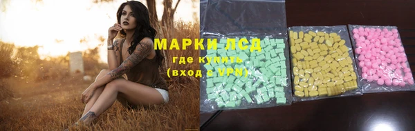 ПСИЛОЦИБИНОВЫЕ ГРИБЫ Аркадак