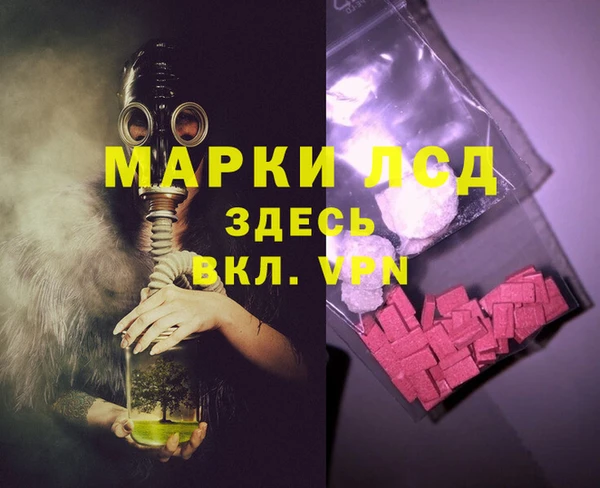 ГАЛЛЮЦИНОГЕННЫЕ ГРИБЫ Арсеньев