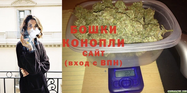 ПСИЛОЦИБИНОВЫЕ ГРИБЫ Аркадак