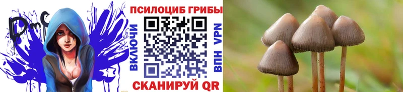 Галлюциногенные грибы Psilocybine cubensis МЕГА как войти Заозёрный